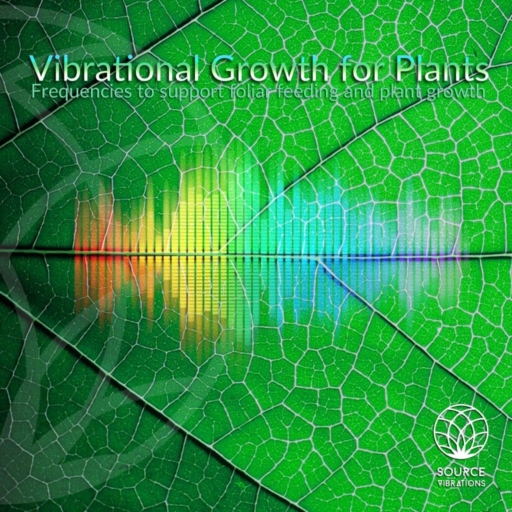 Vibrational Growth for Plants Music For Your Garden