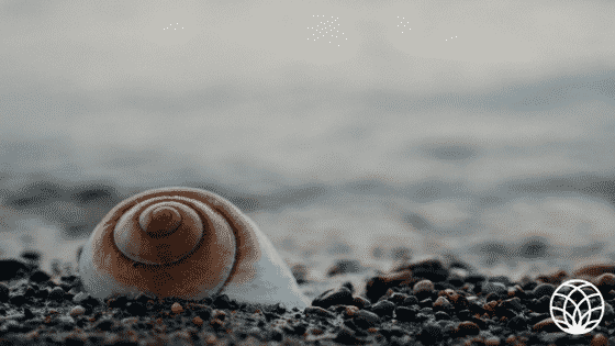 secret nature of numbers